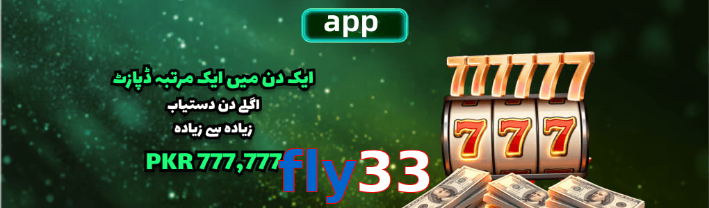 Fly33 app